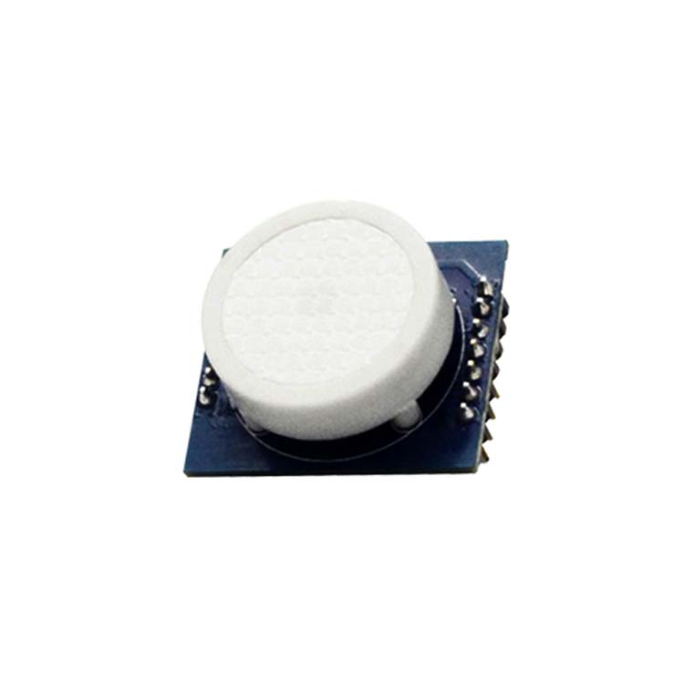 DS-HCHO (2)